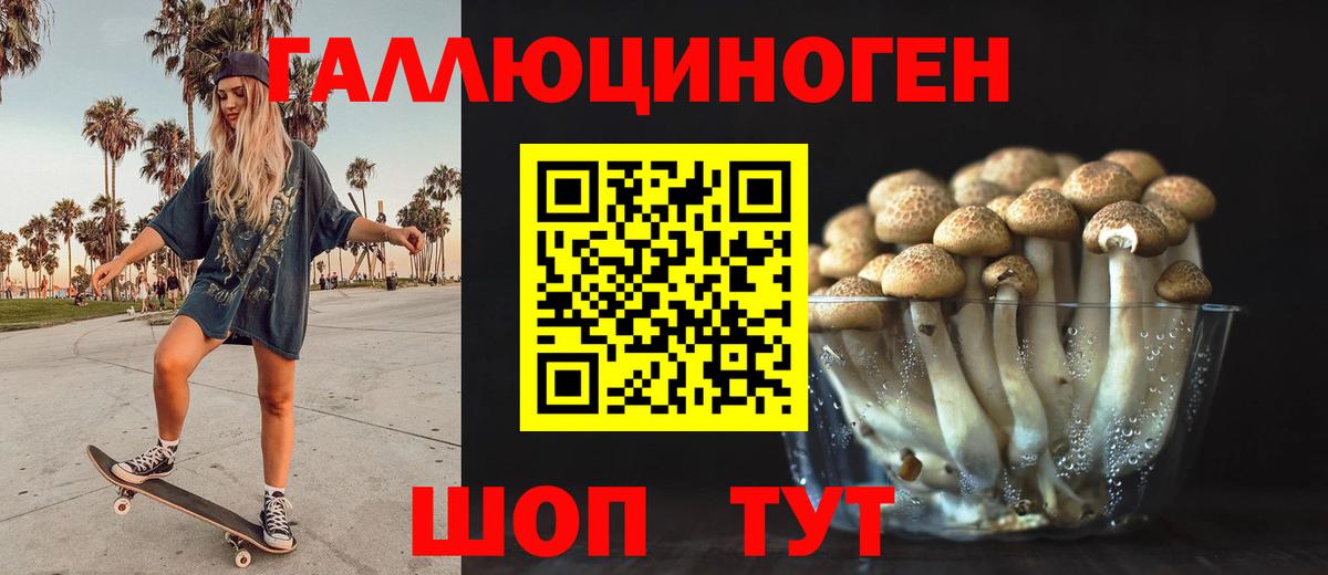 Псилоцибиновые грибы мицелий Донецк