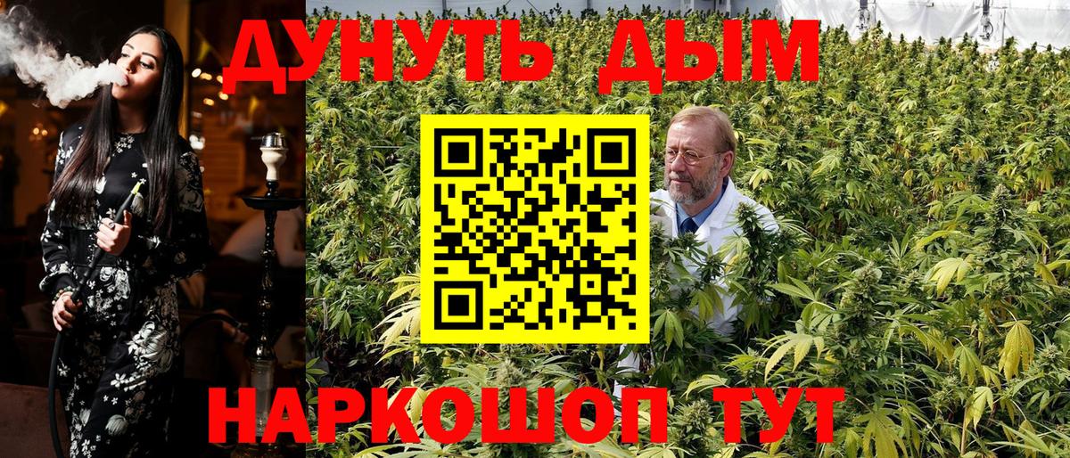 Конопля сатива Донецк